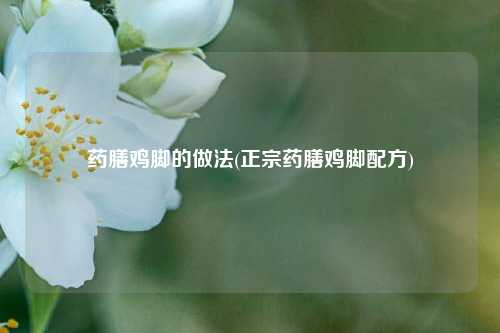 药膳鸡脚的做法(正宗药膳鸡脚配方)