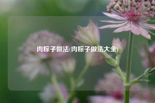 肉粽子做法(肉粽子做法大全)
