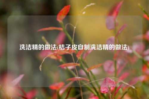 洗洁精的做法(桔子皮自制洗洁精的做法)