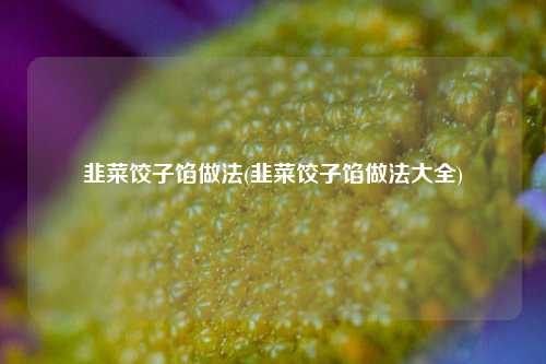 韭菜饺子馅做法(韭菜饺子馅做法大全)
