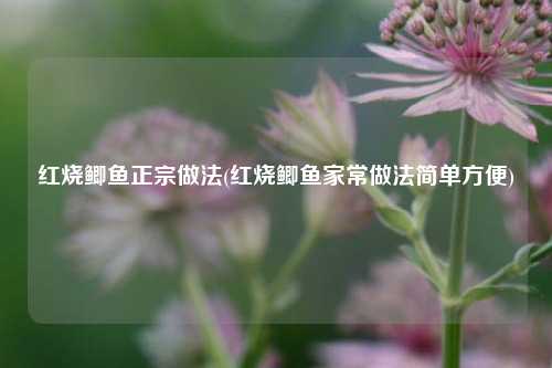 红烧鲫鱼正宗做法(红烧鲫鱼家常做法简单方便)
