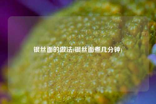 银丝面的做法(银丝面煮几分钟)