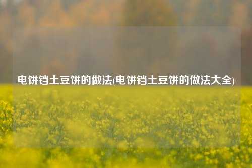 电饼铛土豆饼的做法(电饼铛土豆饼的做法大全)