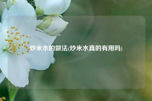 炒米水的做法(炒米水真的有用吗)