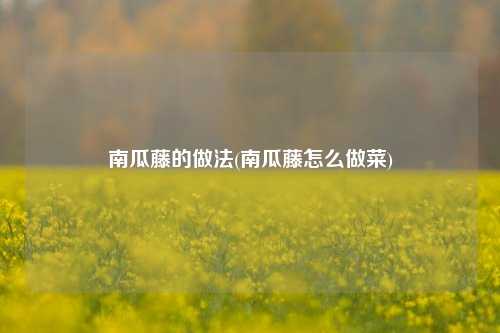 南瓜藤的做法(南瓜藤怎么做菜)