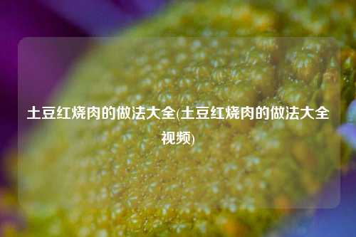 土豆红烧肉的做法大全(土豆红烧肉的做法大全视频)