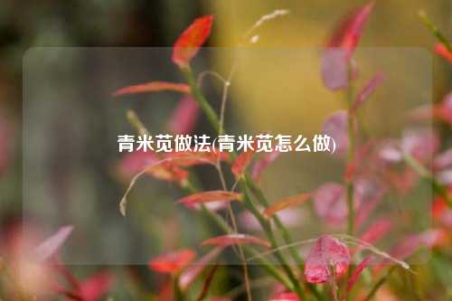 青米苋做法(青米苋怎么做)
