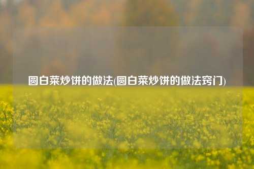 圆白菜炒饼的做法(圆白菜炒饼的做法窍门)