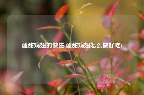 酸甜鸡翅的做法(酸甜鸡翅怎么做好吃)