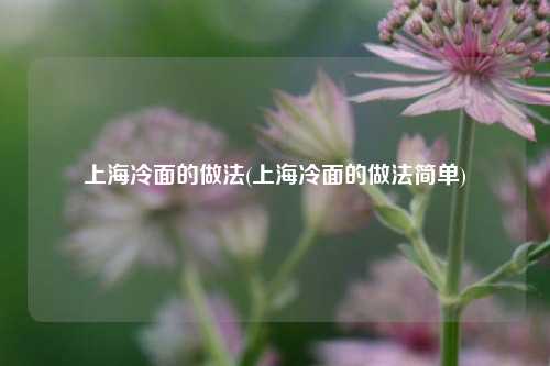上海冷面的做法(上海冷面的做法简单)