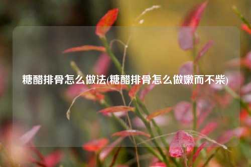 糖醋排骨怎么做法(糖醋排骨怎么做嫩而不柴)