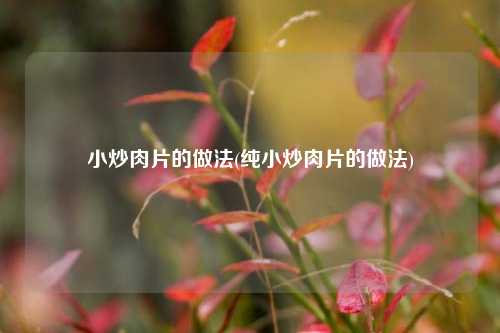 小炒肉片的做法(纯小炒肉片的做法)