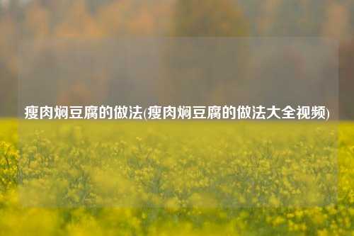瘦肉焖豆腐的做法(瘦肉焖豆腐的做法大全视频)